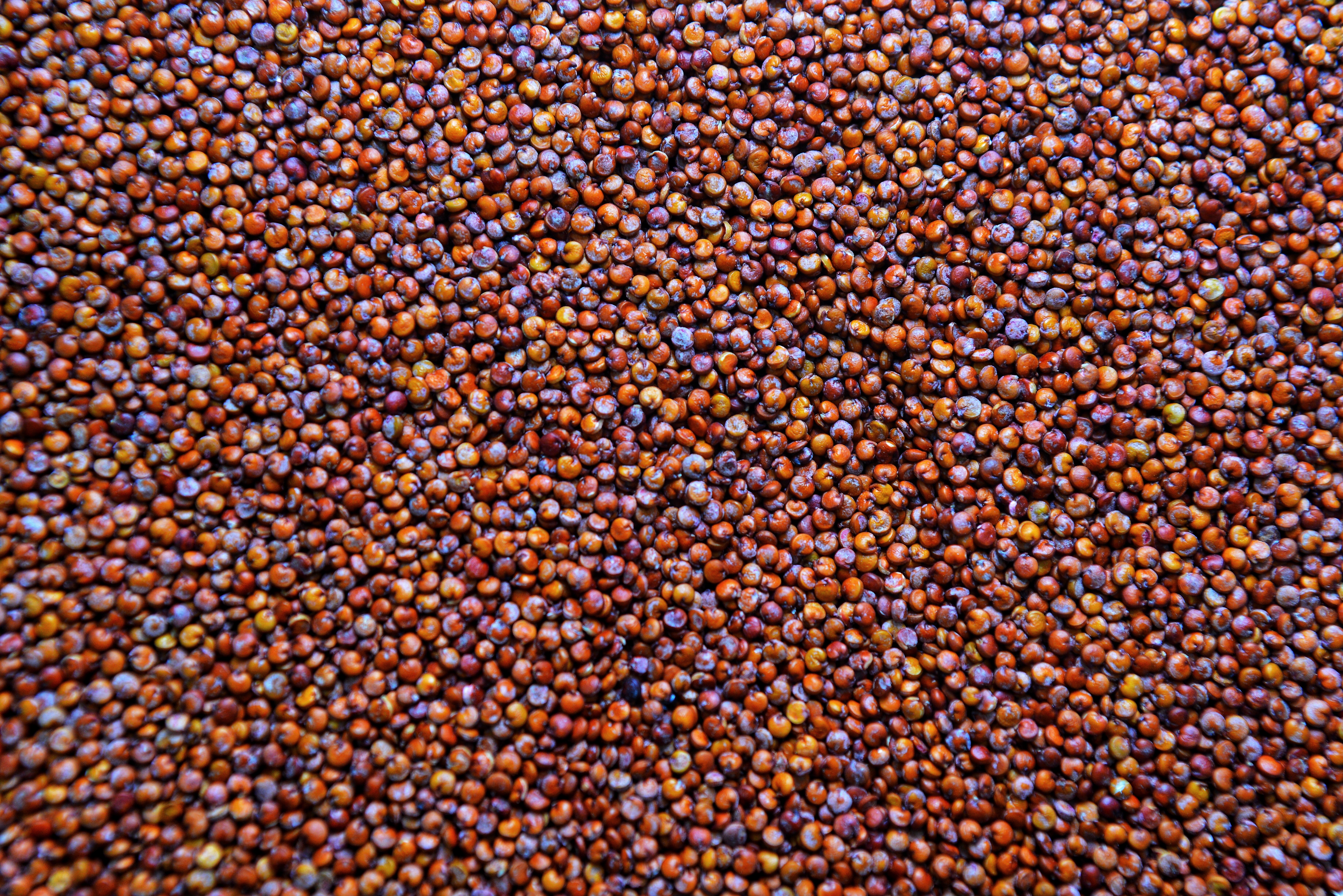 Organic Red Quinoa product image