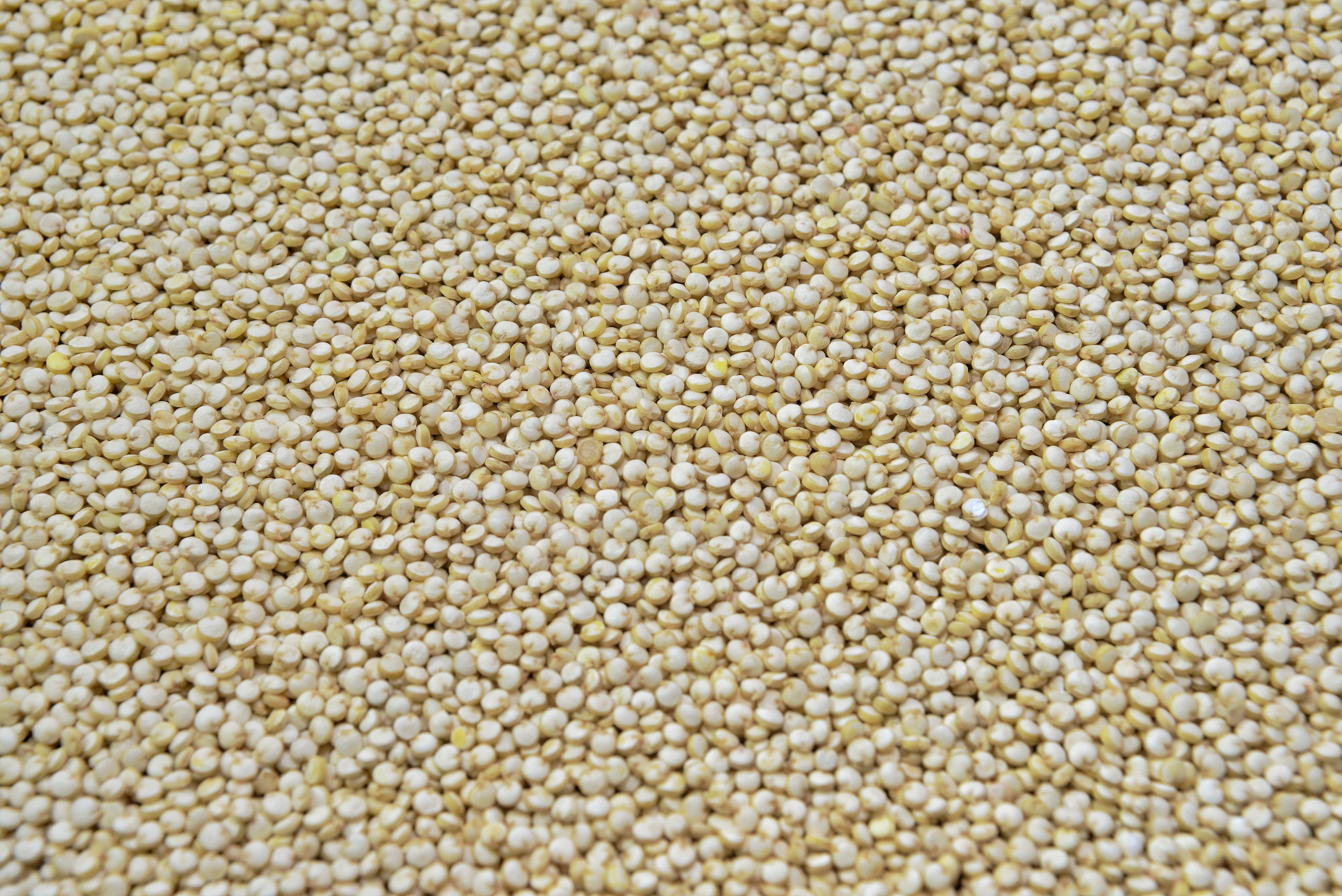 Organic White Quinoa product image