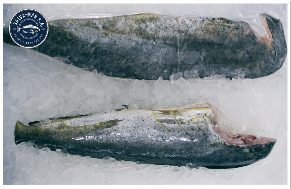 MAHI H&G 15LB-UP DR RAW WLD PAN FRSH (TW100) product image
