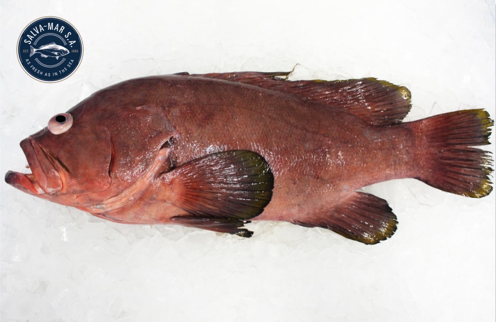 GRPR RED HDON GTT 1.5-3LB DR RAW WLD PAN FRSH (TW125) product image