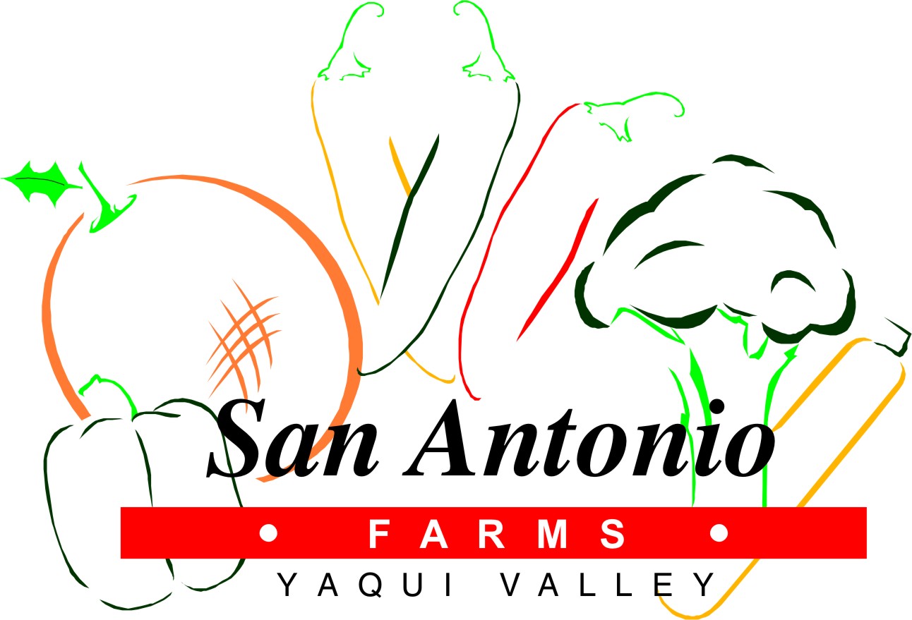 San Antonio Horticola S. A. de C. V. logo