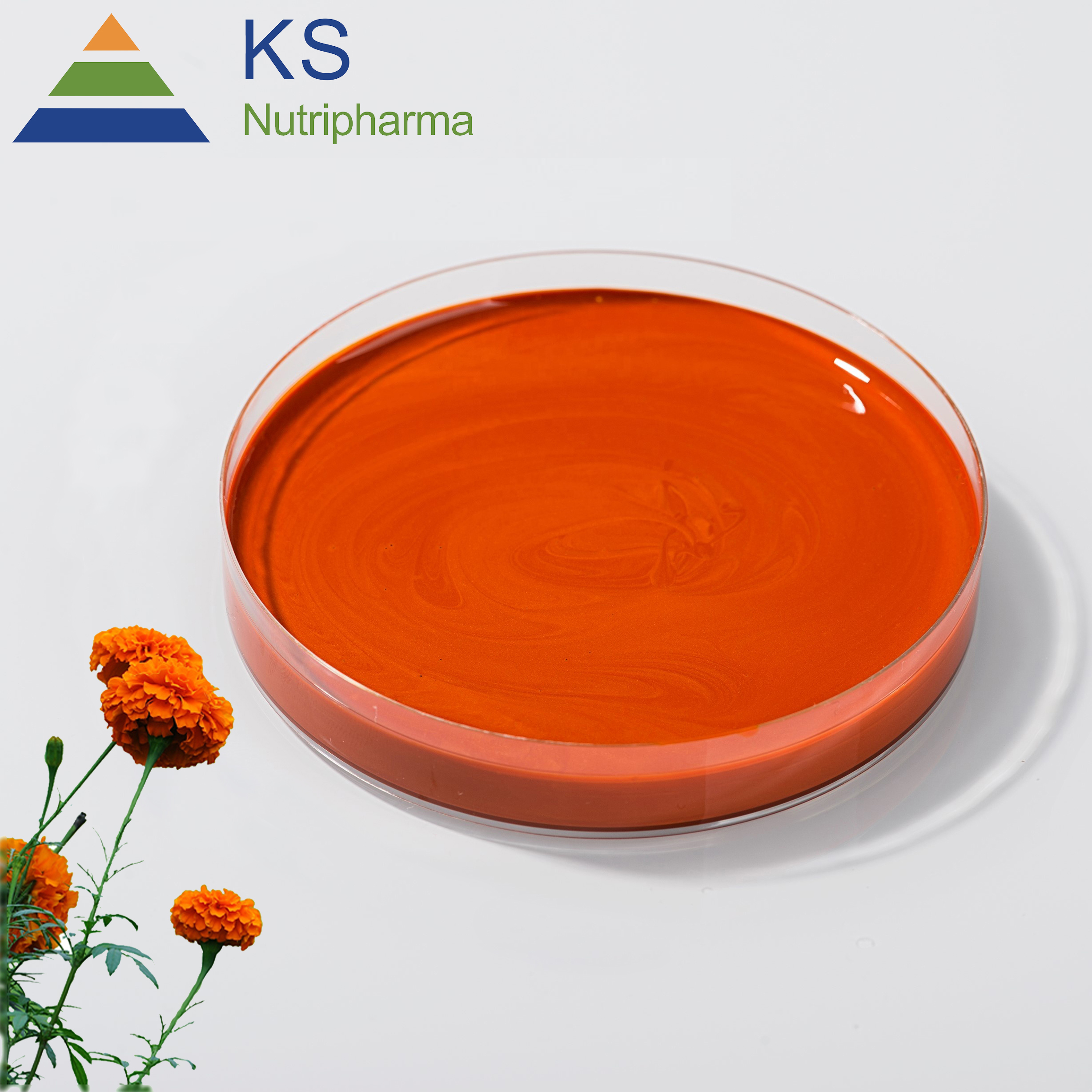 Lutein 20% Oil product image