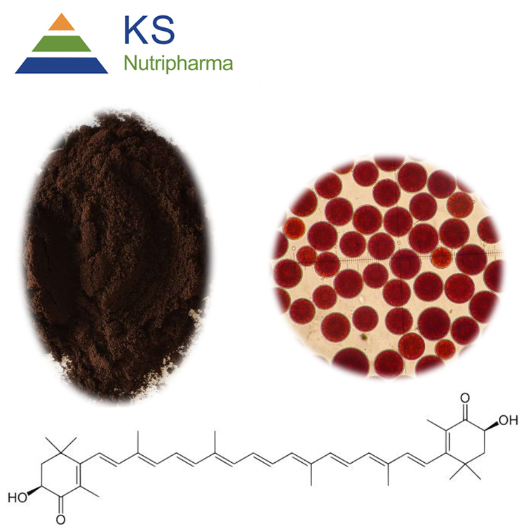Astaxanthin 2% Powder product image