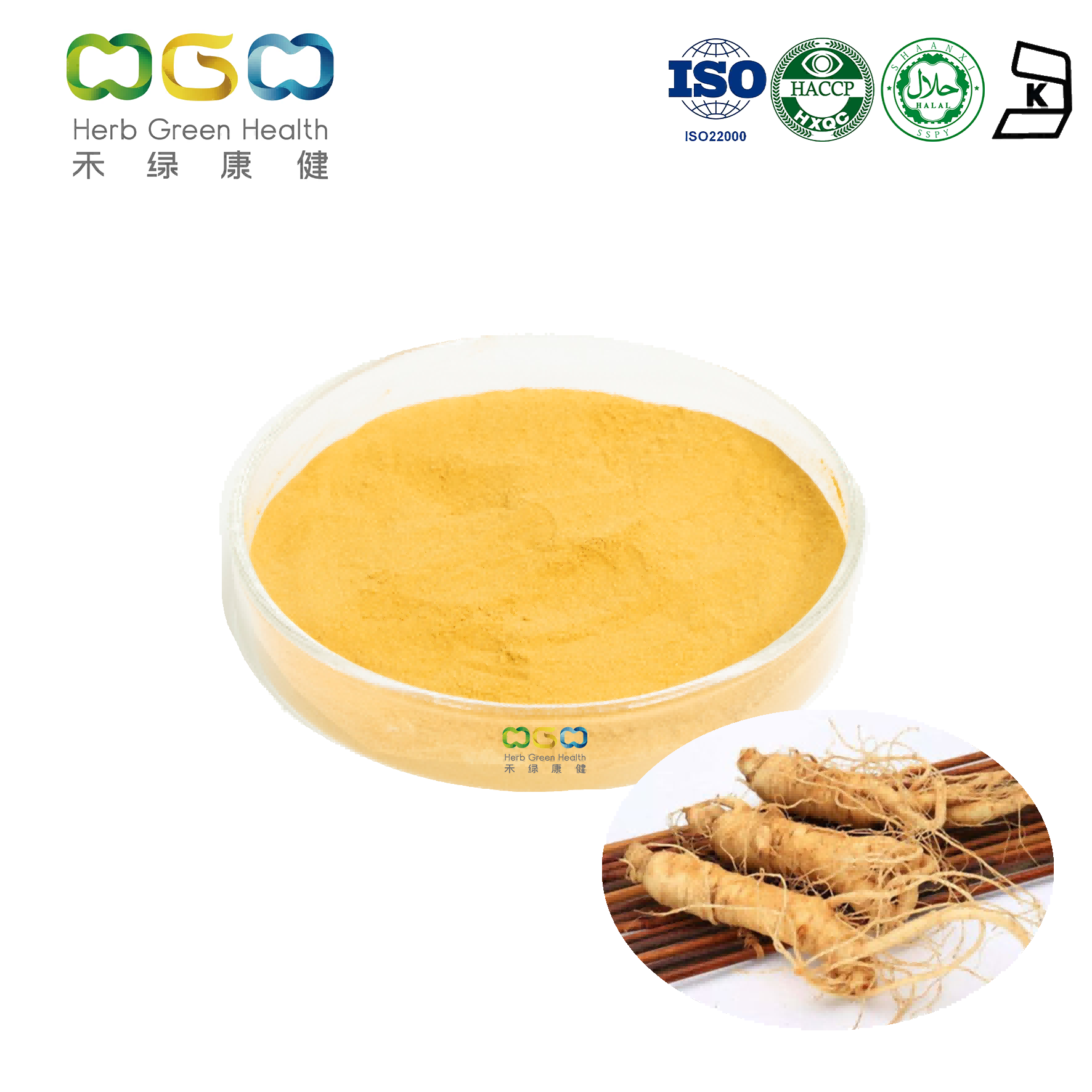 Panax Ginseng Root Powder Extract 10% HPLC product image