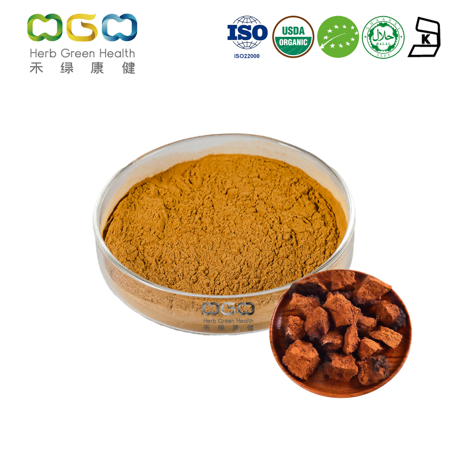 Organic Chaga Mushroom Powder product image
