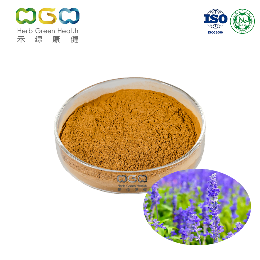 Lavender Herb Extract 4:1 product image