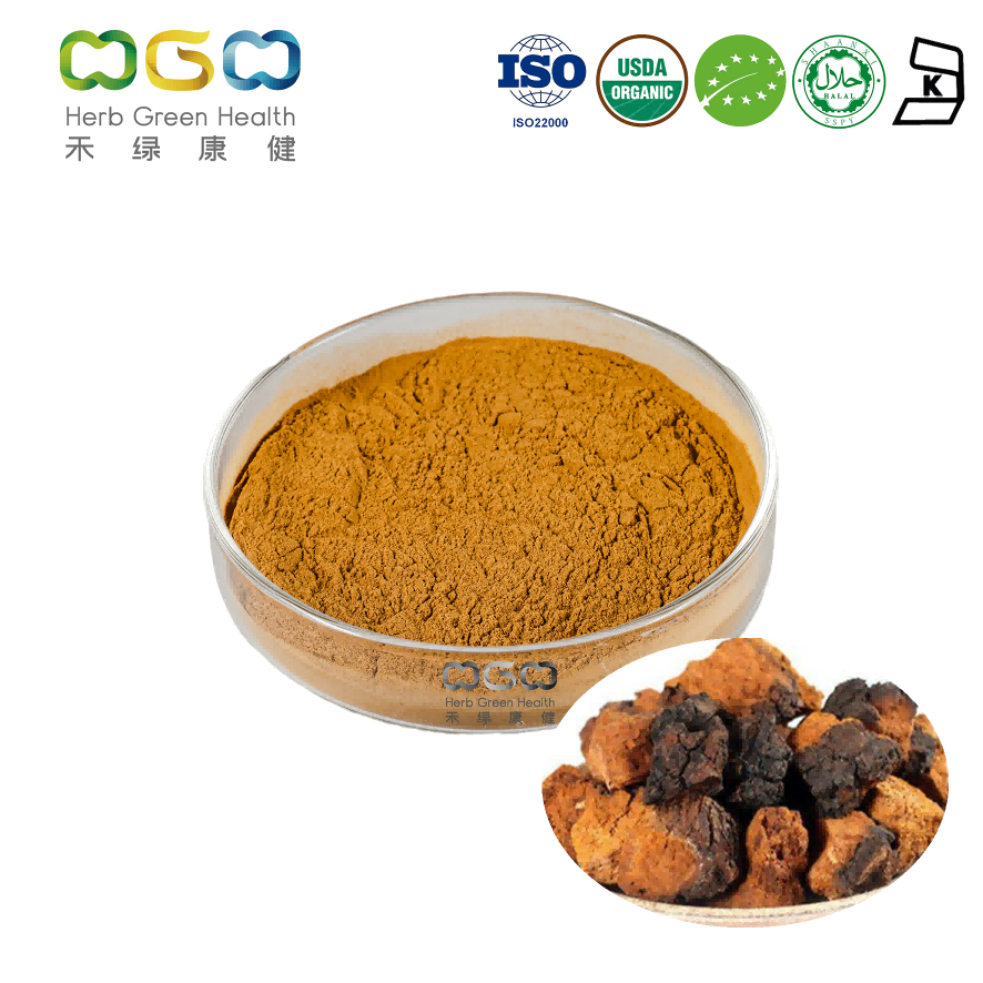 Organic Chaga Mushroom Extract 30% Polysaccharides product image