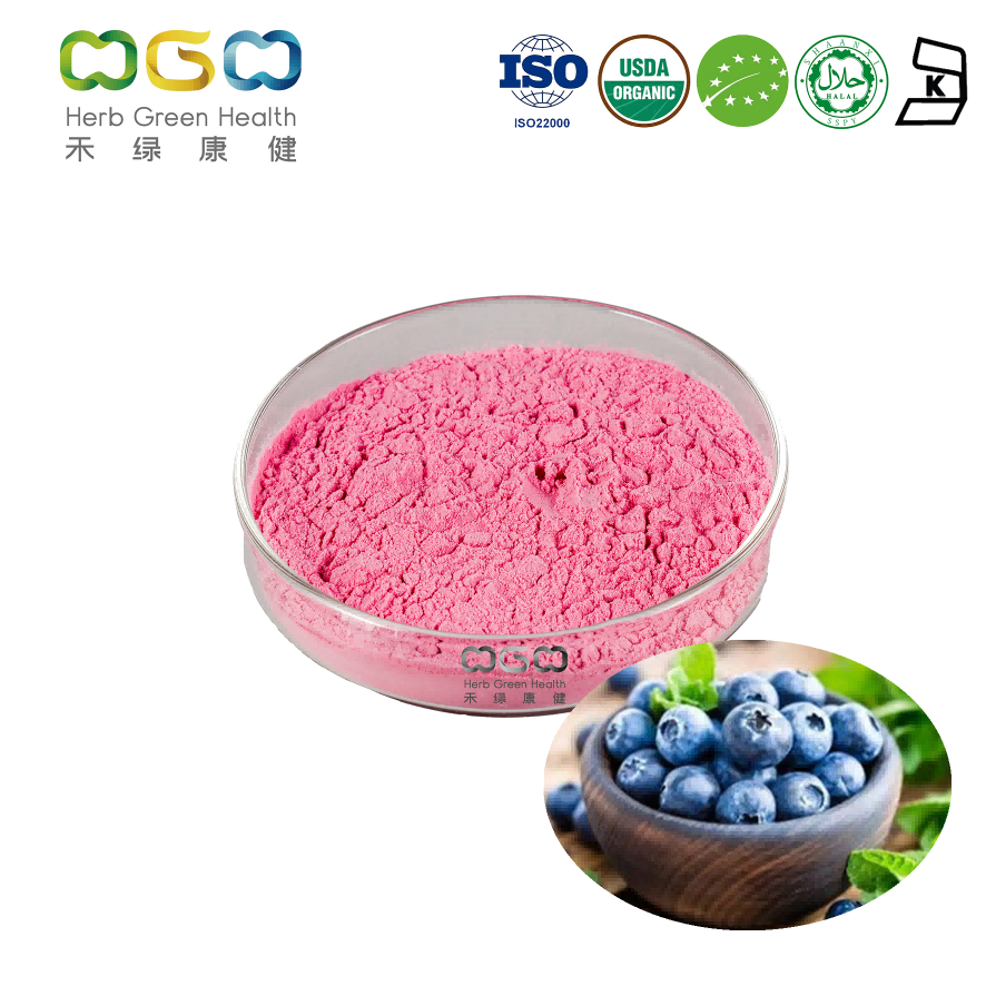 Organic Blueberry Extract 4:1 product image