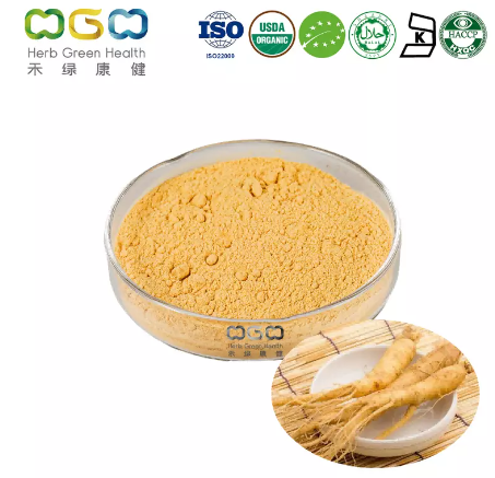 Panax Ginseng Root Powder Extract 3% HPLC product image