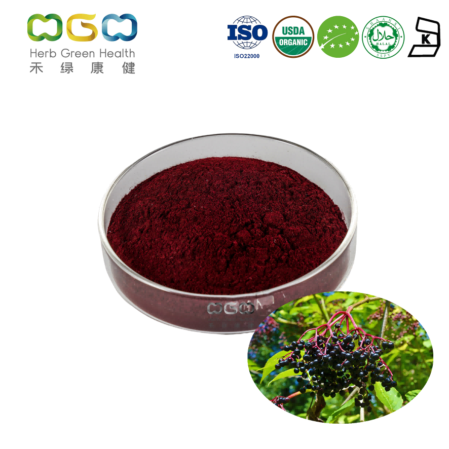 Organic Elderberry Extract 5:1 product image